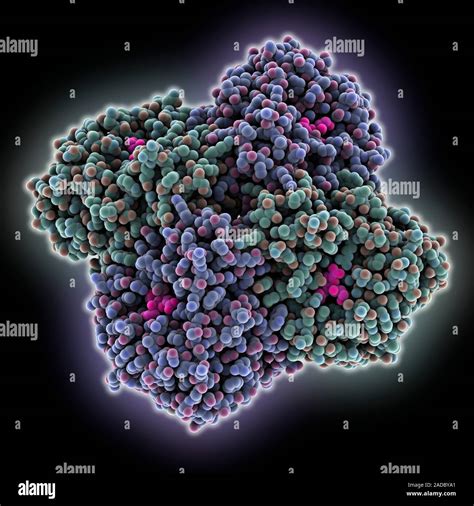 1918 Influenza Virus Neuraminidase Complex Computer Model Showing The