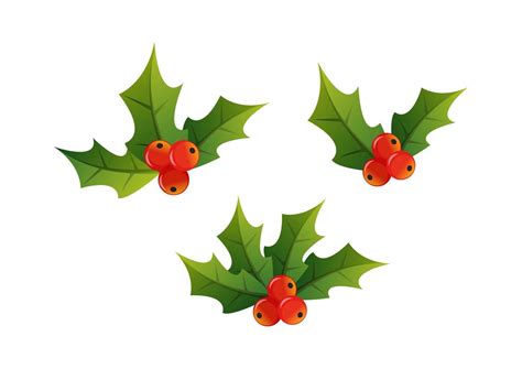 Christmas Holly Decoration Design Vector 15501702 Vector Art at Vecteezy