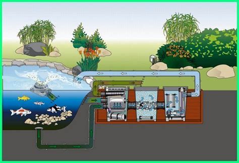 Koi Pond Filtration Diagrams | Wonderful Koi