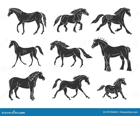 White And Black Horse Breeds | engisfun.com