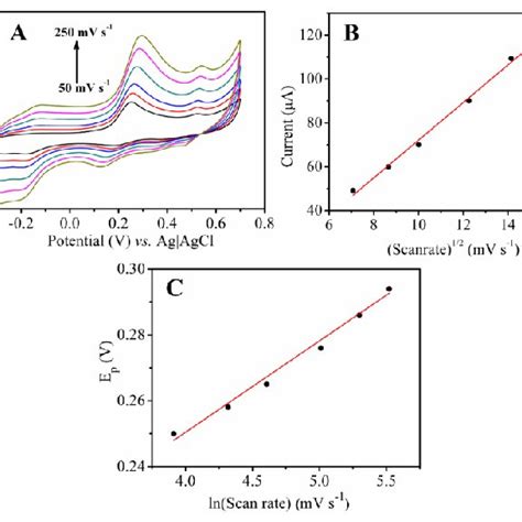 A Cyclic Voltammogram Recorded At The Bare SPCE NH HNP Chit SPCE