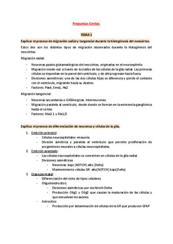 Preguntas Cortas Neuro Pdf