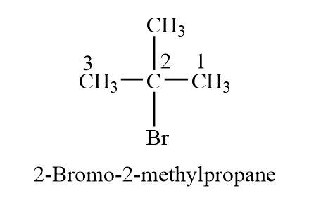 C4h9br Lewis Structure Isomers