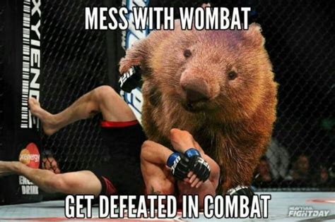 Mortal Wombat : r/memes