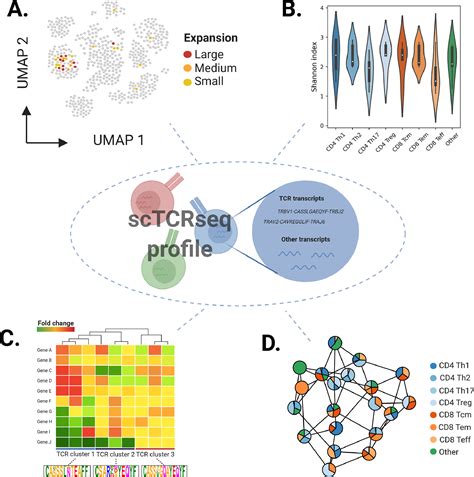 Recent Advances In T Cell Receptor Repertoire Analysis Bridging The