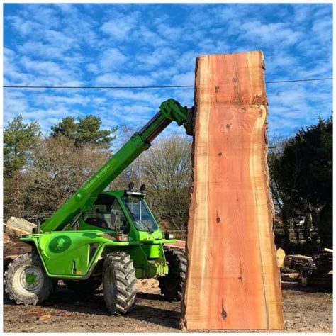 A Closer Look at Timber Harvesting Methods & Process