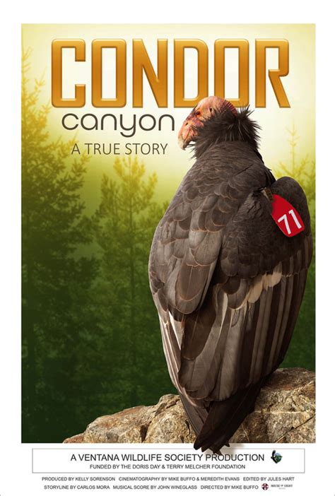 Condor Canyon Ventana Wildlife Society