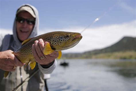 Fishing The Missouri River | Montana Fishing Guides