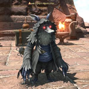 Qiqirn Meatcutter Gamer Escape S Final Fantasy Xiv Ffxiv Ff Wiki