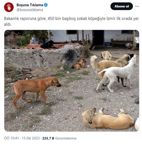 Izmir De Bin Tane Sokak K Pe I Olmas Uluda S Zl K Galeri