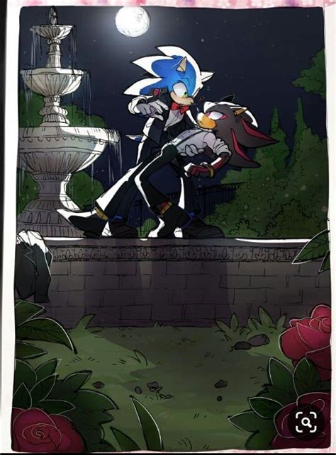 Sonic The Hedge Is Standing In Front Of A Fountain At Night With Roses