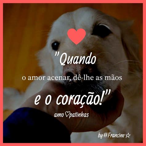 Frases Para Animais De Estimação - Amo Meus peludos ♥️🐶 | Frases animais, Bicho de estimação, Animais amorosos