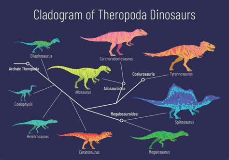 The Classification Of Dinosaurs: Major Groups And Types