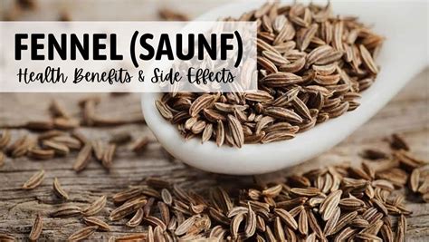 Fennel Saunf Health Benefits Uses Side Effects And More