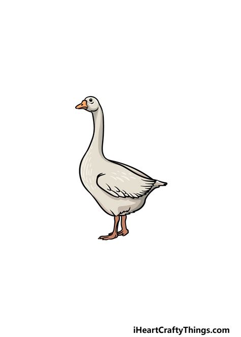 Goose Drawing How To Draw A Goose Step By Step