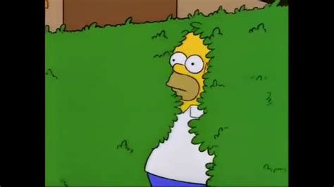 Homer Disappears Into Bushes Video Clip By The Simpsons