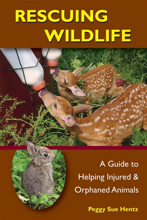 Rescuing Wildlife A Guide To Helping Injured And Orphaned Animals Ebook