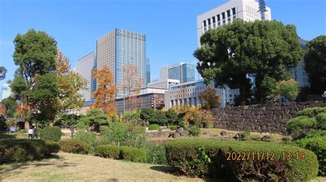 『久し振りに紅葉の日比谷公園を訪問④第一花壇のバラ見物より心字池へ』丸の内・大手町・八重洲東京の旅行記・ブログ By Tsunetaさん