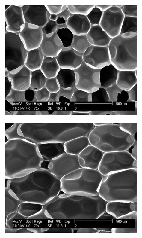 Sem Micrographs Of Resulting Pur Foams In Top View Upper And Side