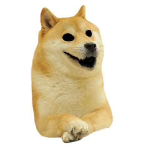 Shiba Inu Meme Dog Png Gambar Latar Belakang Png Arts