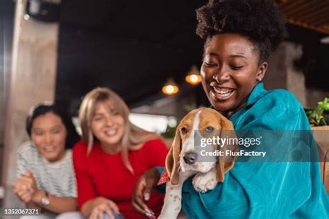 370 Dog Knotted In Woman Stock Photos High Res Pictures And Images