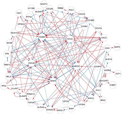 Figure 3 From Inferring Disease Progression And Gene Regulatory