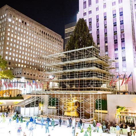 Le traditionnel sapin de Noël du Rockefeller Center