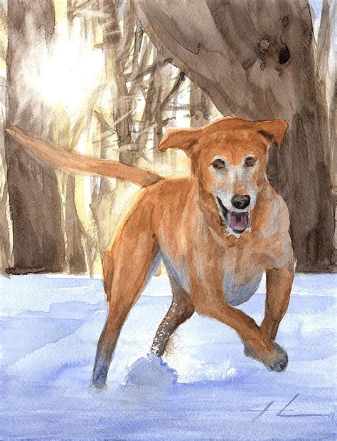 Yellow Lab Dog In Snow Watercolor Portrait By Mike Theuer Dog