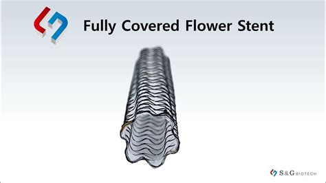 Egis Single Covered F Stent Youtube