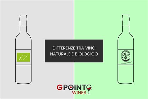 Differenze Tra Vino Biologico E Biodinamico Scopri Quali Sono GPoint