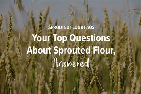 Sprouted Flour Faqs One Degree Organics