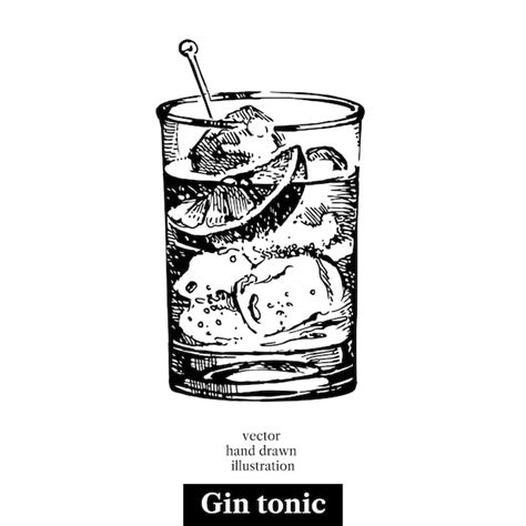 Premium Vector Hand Drawn Sketch Cocktail Gin Tonic Vintage Isolated