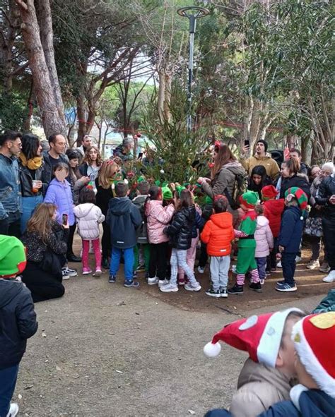 Giardini Di Carpani Allestito L Albero Di Natale Dai Bimbi Dell