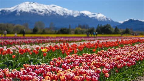 Previaje 3 Cuánto Cuestan Pasajes Estadías Y Excursiones En 5 Destinos Para Aprovechar El