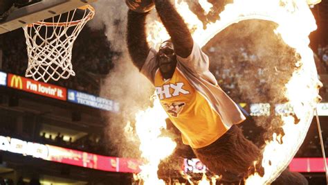 Phoenix Suns Gorilla