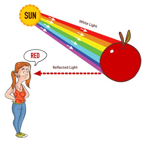 The Visible Spectrum Overview With Colors Listed In Order Of Increasing Wavelength Color Meanings