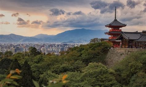 Обои на рабочий стол Пагода храма Mimuroto Ji temple среди цветения