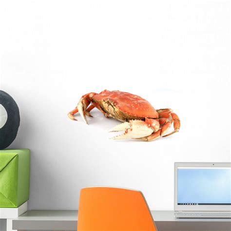 Dungeness Crab Wall Decal Wallmonkeys