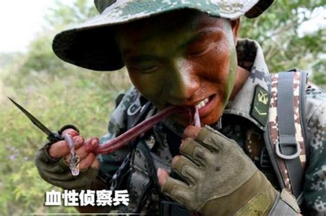 解放军男女特种兵不只敢吃蛇，毒蛇充饥也不在话下！特种兵毒蛇特种部队新浪新闻