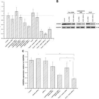 Gene Silencing Efficiency Of Vegf Sirna In Mcf Cells Notes A