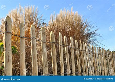 Natural Fence Stock Image Image Of Grass Garden Herbaceous 35815531