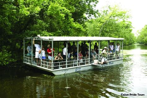 Cajun Pride Swamp Tours Laplace Aktuelle 2021 Lohnt Es Sich Mit