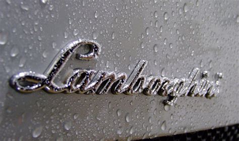 Lamborghini Logo Hd Wallpaper