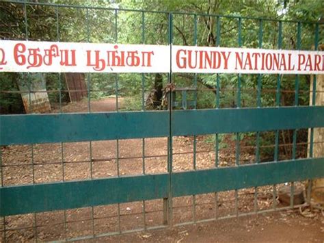 Guindy National Park in Chennai, Flora and Fauna in Guindy Park