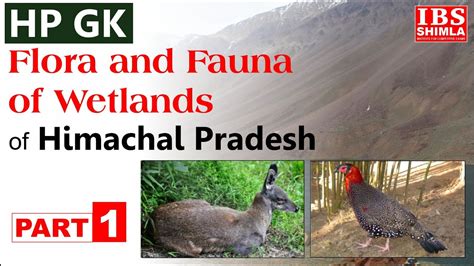 Hp Gk Flora And Fauna Of Wetlands Of Himachal Pradesh Part Youtube