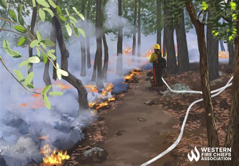 The Pros And Cons Of Prescribed Burns WFCA