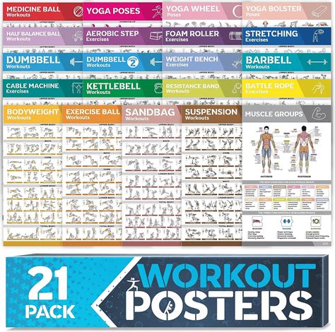 Buy Pack Laminated Large Workout Poster Set Perfect Workout