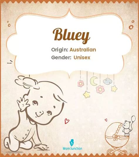 Origin Meaning And Other Facts About Baby Name Bluey