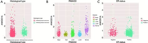 Ankdd1a Expression In Different Subgroup A Ankdd1a Has A Higher Download Scientific Diagram