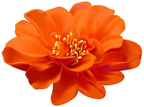 Download High Quality Flowers Transparent Orange Transparent Png Images